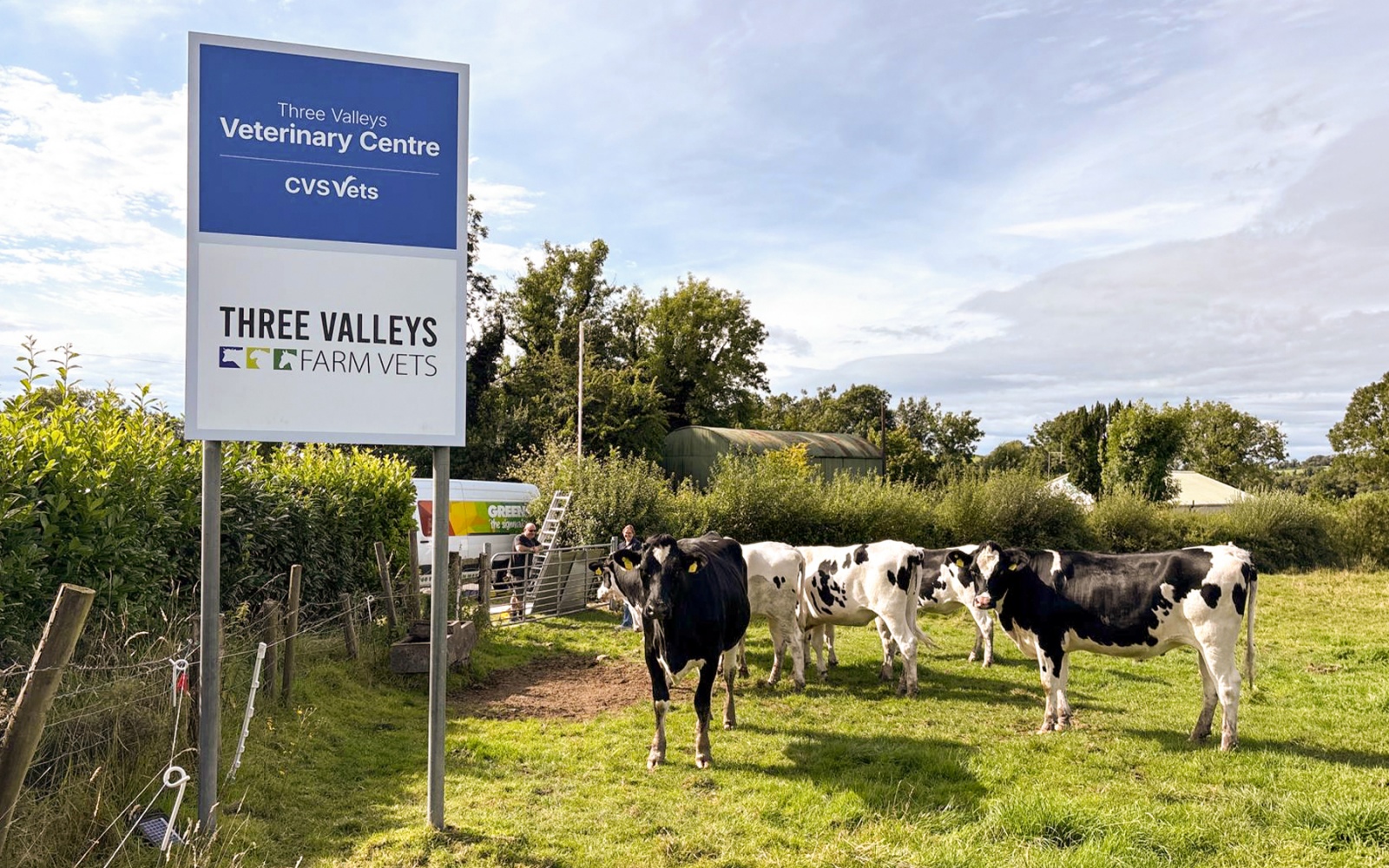 CVS Vets freestanding sign in field of cows